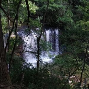 Meet your Posher, Donovan